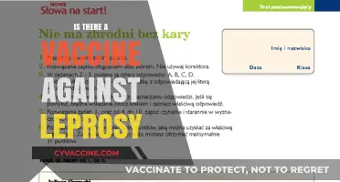 Combatting Leprosy: The Quest for an Effective Vaccine