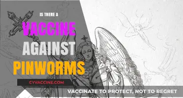 Combatting Pinworms: The Quest for an Effective Vaccine