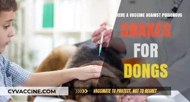 Can Dogs Be Vaccinated Against Poisonous Snake Bites? Exploring the Facts