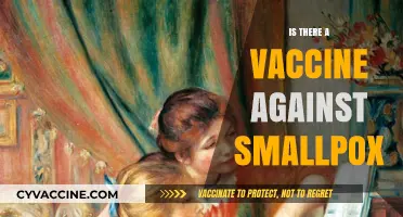 Combatting Smallpox: The Historical Journey to Eradication