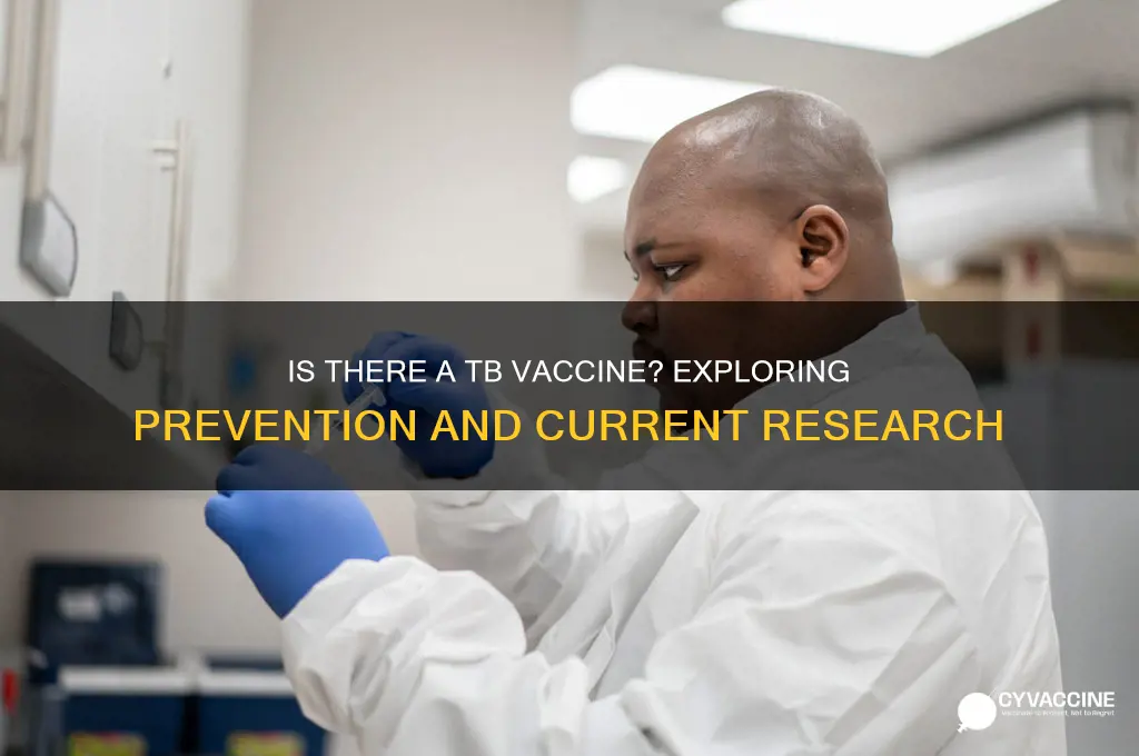 is there a vaccine against tb
