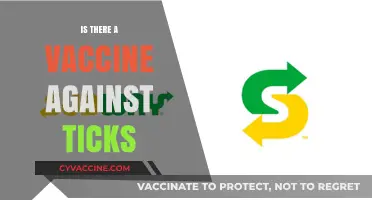Exploring Tick-Borne Disease Prevention: The Vaccine Option