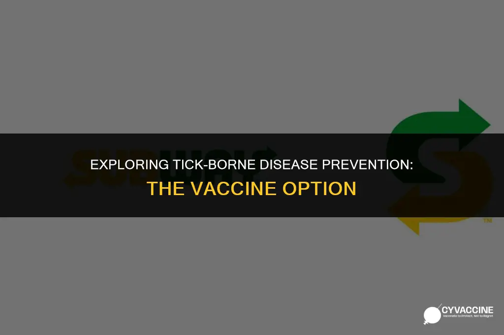 is there a vaccine against ticks