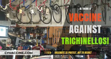 Exploring the Quest for a Trichinellosis Vaccine: Facts and Hopes