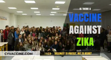 Exploring the Quest for a Zika Vaccine: Progress and Challenges