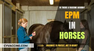 EPM in Horses: Exploring the Availability of a Vaccine