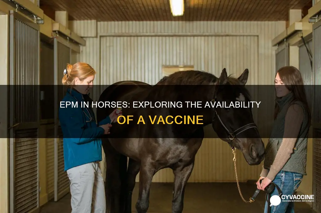 is there a vaccine agsinst epm in horses