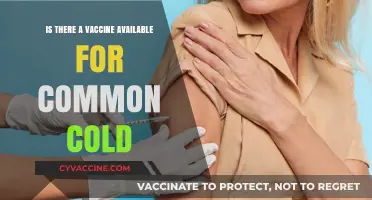 Is There a Vaccine for the Common Cold? Exploring the Possibilities