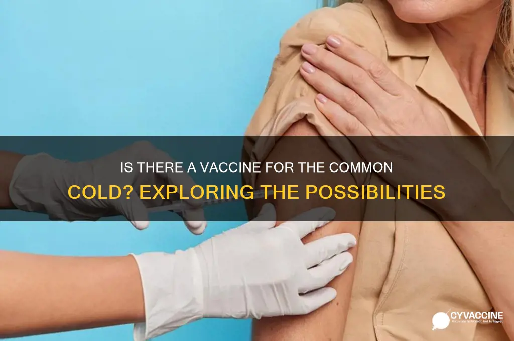 is there a vaccine available for common cold