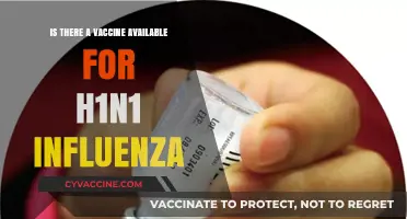 H1N1 Influenza Vaccine: Availability, Effectiveness, and Prevention Tips