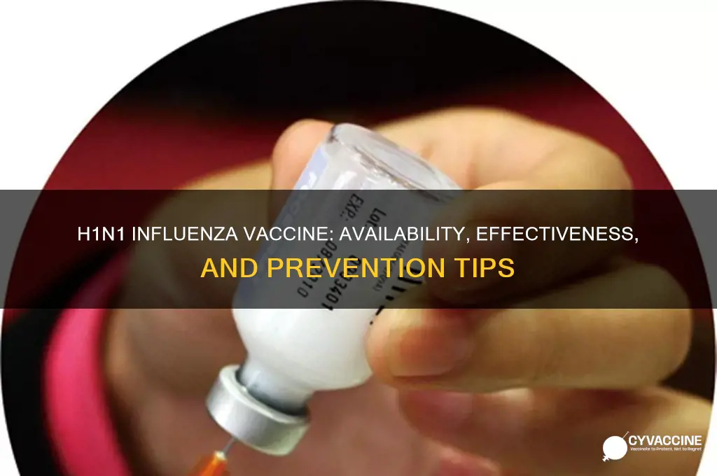 is there a vaccine available for h1n1 influenza