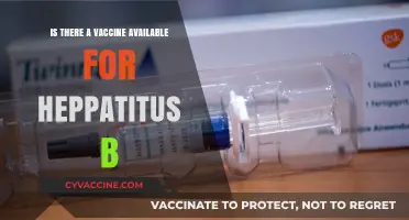 Hepatitis B Vaccine: Availability, Effectiveness, and Prevention Explained