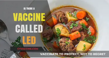 Exploring the Truth: Is There Really a Vaccine Called LED?