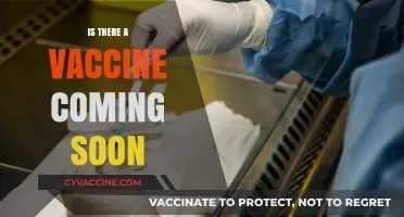 Hope on the Horizon: The Race for a Vaccine Accelerates
