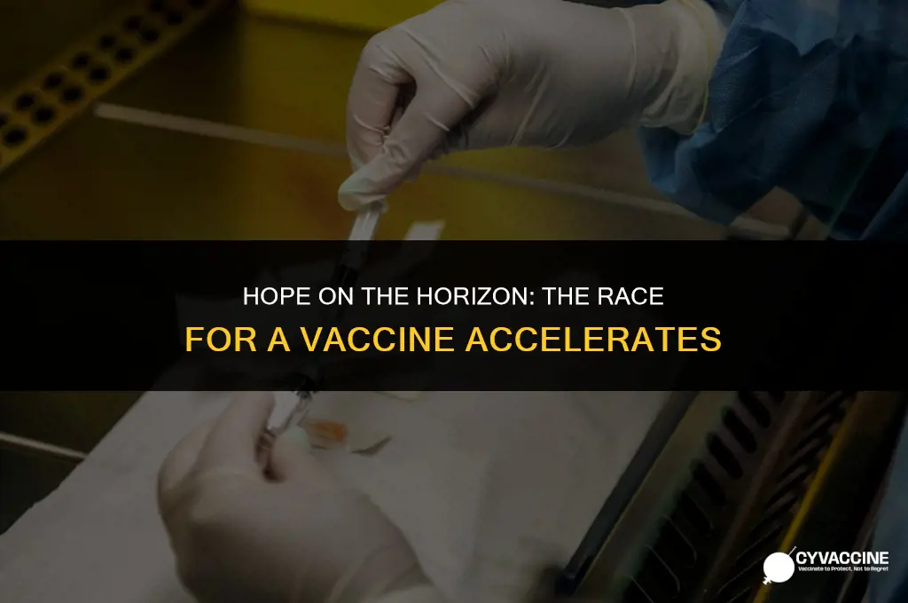 is there a vaccine coming soon