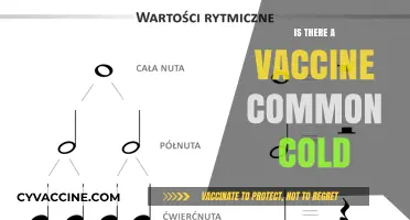 Exploring the Quest for a Common Cold Vaccine: Facts and Myths