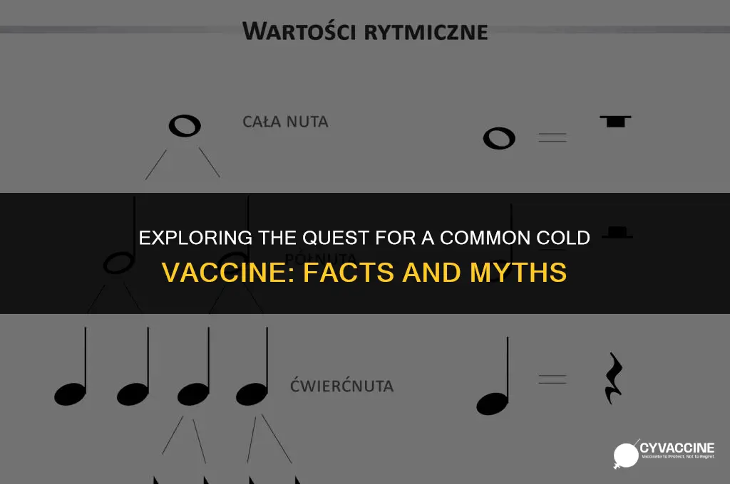 is there a vaccine common cold
