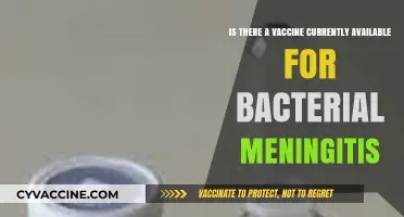 Bacterial Meningitis Vaccine: Current Availability and Prevention Options