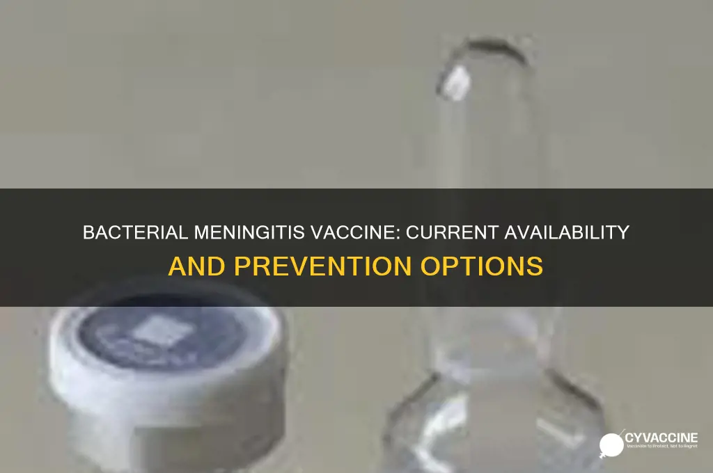 is there a vaccine currently available for bacterial meningitis
