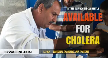 Cholera Vaccine Availability: Current Status and Global Access Explained