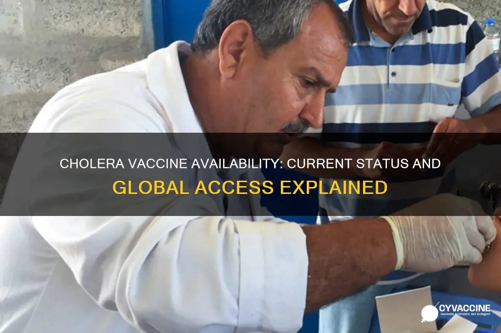 is there a vaccine currently available for cholera