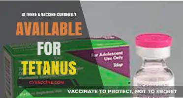 Tetanus Vaccine Availability: Current Options and Protection Measures