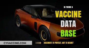 Exploring the Existence of a Comprehensive Vaccine Database