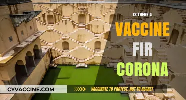 Exploring the Latest: Is There a Vaccine for Corona?