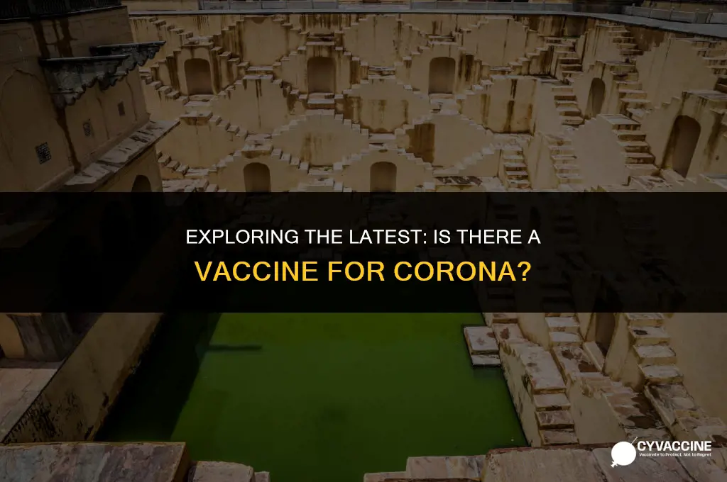 is there a vaccine fir corona