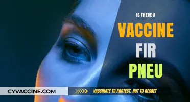 Exploring Pneumonia Vaccines: Facts, Myths, and Prevention Strategies