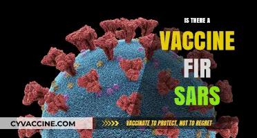 Exploring the Latest on SARS Vaccines: Facts and Updates