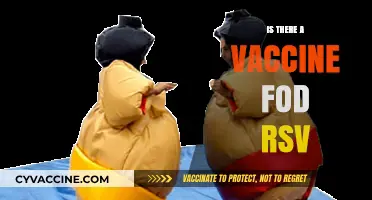 Exploring RSV Vaccines: What You Need to Know