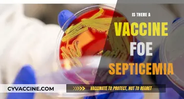 Exploring the Possibility: Can Septicemia Be Prevented by a Vaccine?