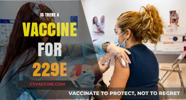 Exploring the Quest for a 229E Vaccine: Facts and Hopes