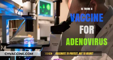 Exploring Adenovirus Vaccines: Current Status and Future Possibilities