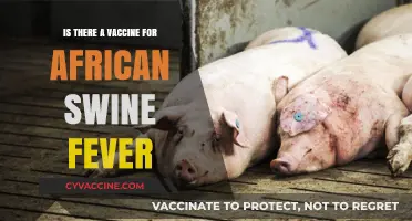 African Swine Fever Vaccine: Current Status and Future Prospects