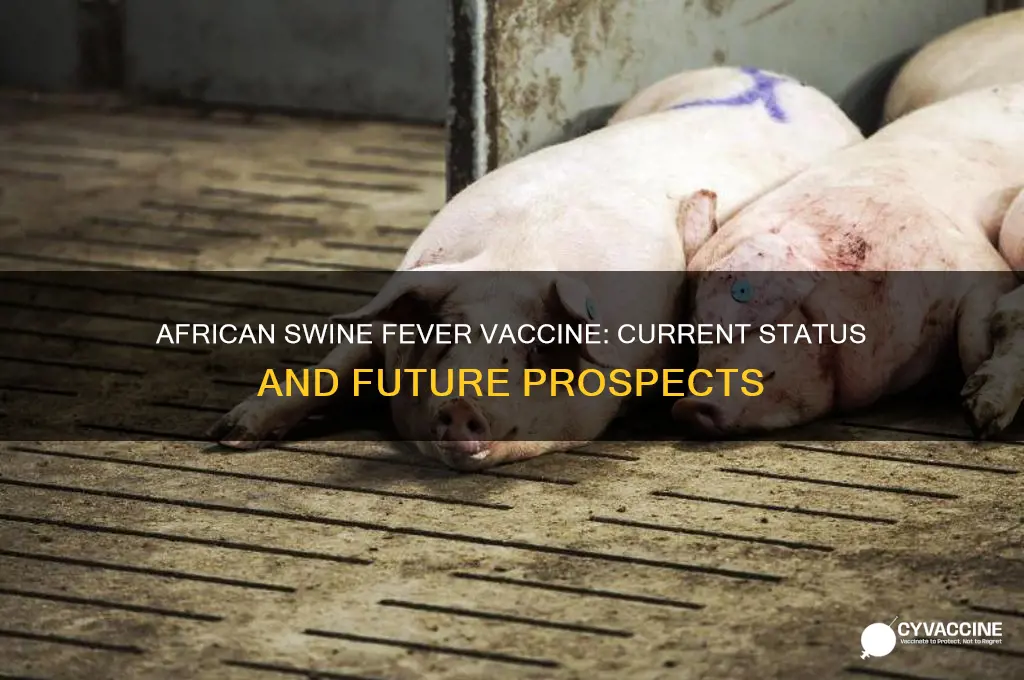 is there a vaccine for african swine fever