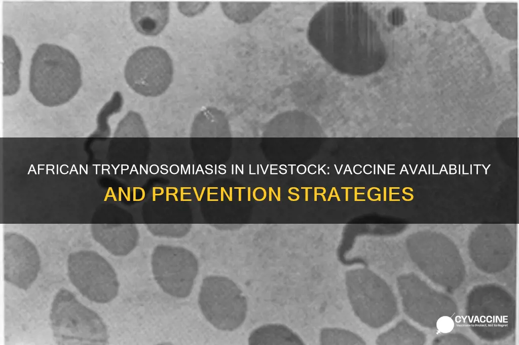 is there a vaccine for african trypanosomiasis for livestock