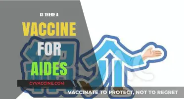 Exploring the Quest for an AIDS Vaccine: Hope and Challenges