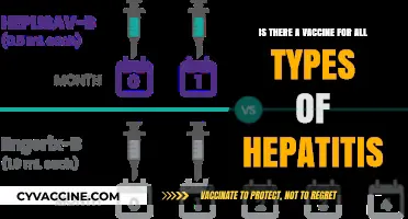 Hepatitis Vaccines: Are All Types Preventable with Immunization?
