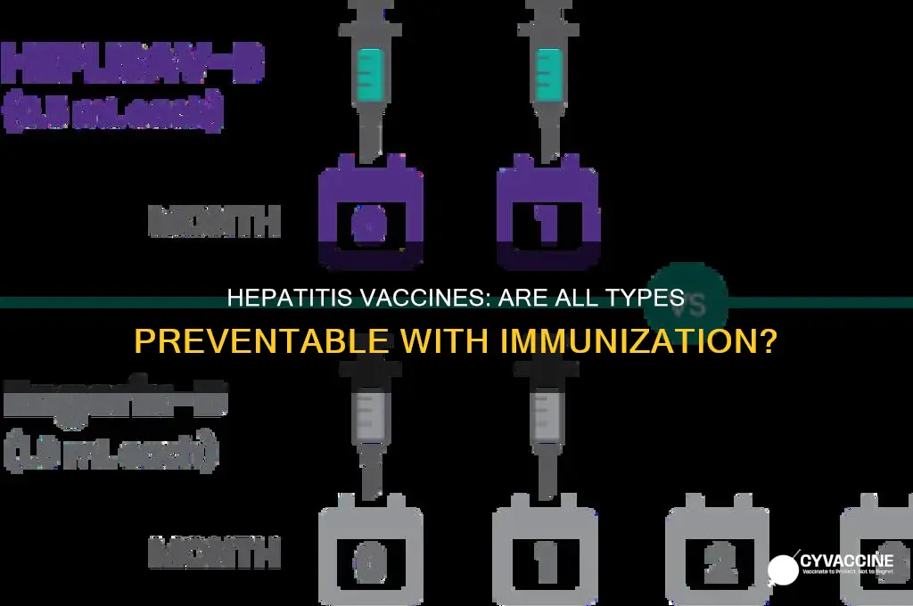 is there a vaccine for all types of hepatitis