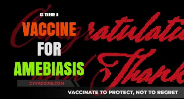 Exploring the Quest for an Amebiasis Vaccine: Progress and Challenges