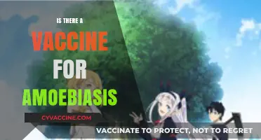 Exploring the Quest for an Amoebiasis Vaccine: Progress and Challenges
