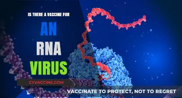 Exploring RNA Viruses: Are There Effective Vaccines Available?