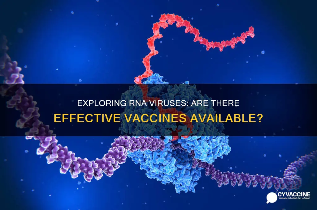 is there a vaccine for an rna virus