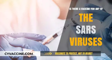 SARS Vaccines: Current Status and Future Prospects for Protection