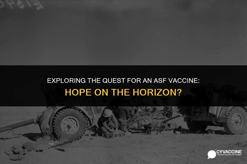 is there a vaccine for asf