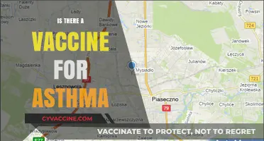 Exploring the Possibilities: Is There a Vaccine for Asthma?