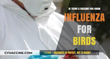 Avian Influenza Vaccines for Birds: Current Options and Effectiveness