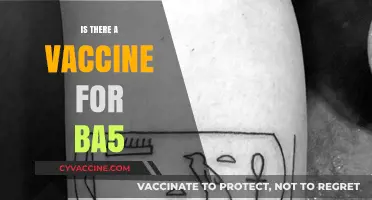 Combatting BA.5: The Latest on COVID-19 Vaccine Efforts